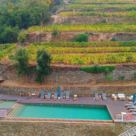 Quinta De Travassinhos- Douro Valley & Spa Santa Marta de Penaguião 外观 照片