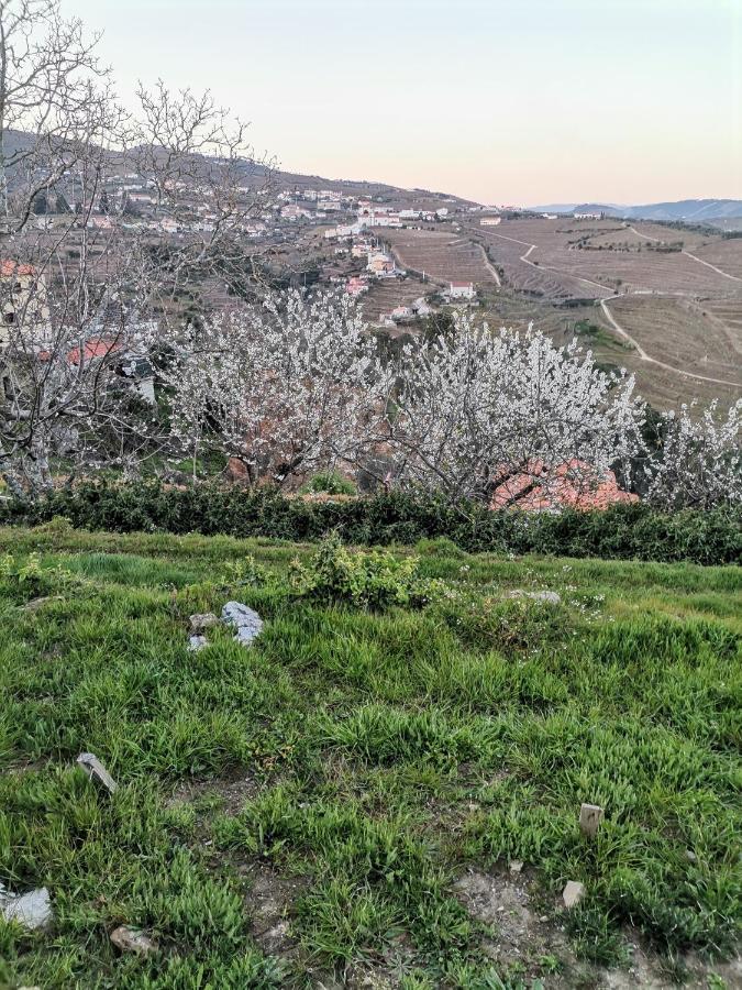 Quinta De Travassinhos- Douro Valley & Spa Santa Marta de Penaguião 外观 照片